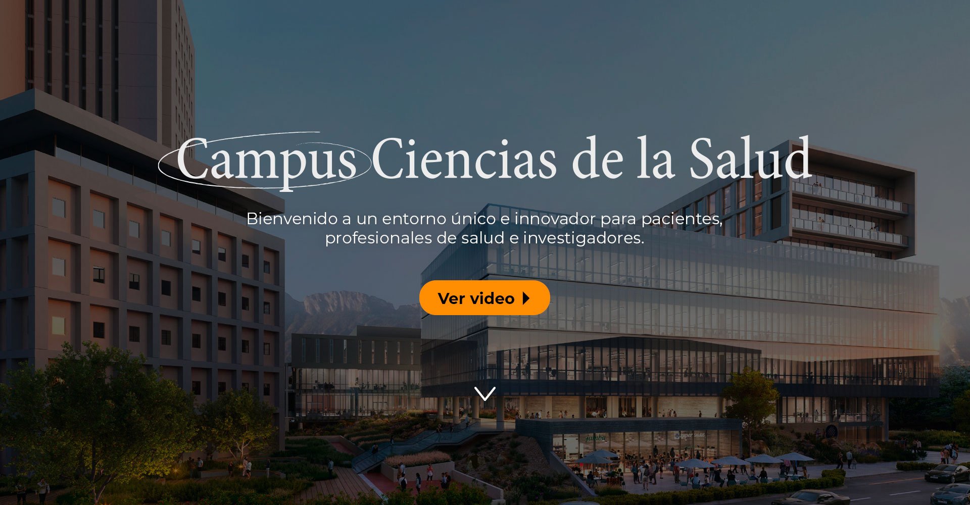 CCS-banner-principal
