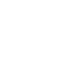 cerebral