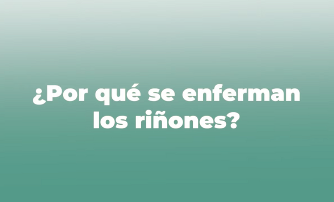 UIEM - por qué se enferman los riñones